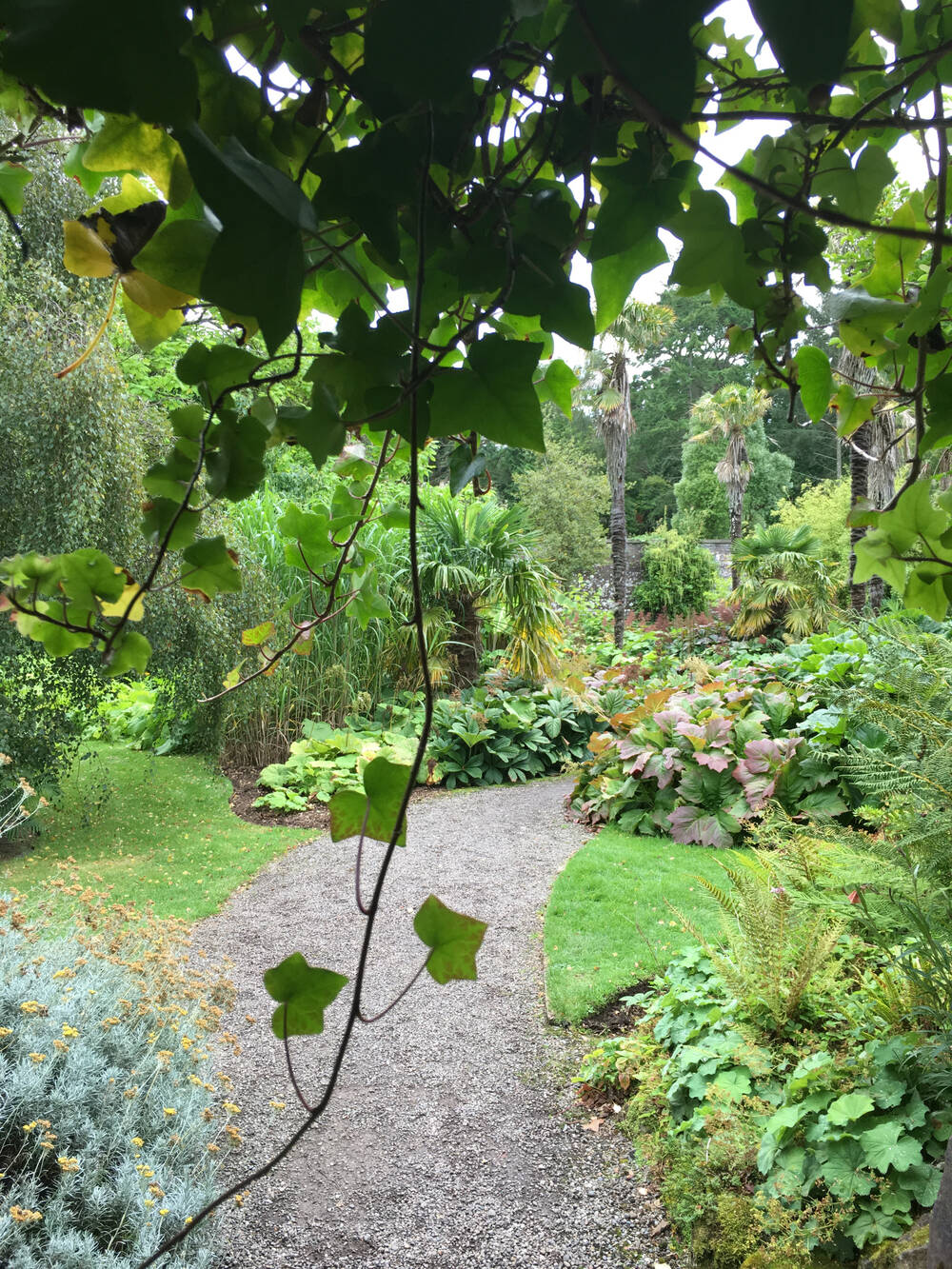 Gravel path in the gardens at Culzean Castle & Country Park