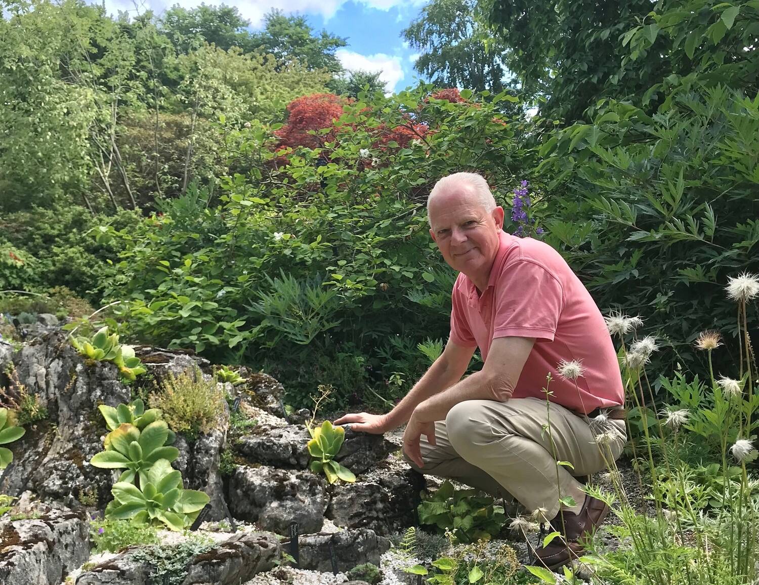 A man in a pink shirt and pale brown trousers crouches beside a rock garden, with many different types of green plants growing around him. Tall trees can be seen in the background.