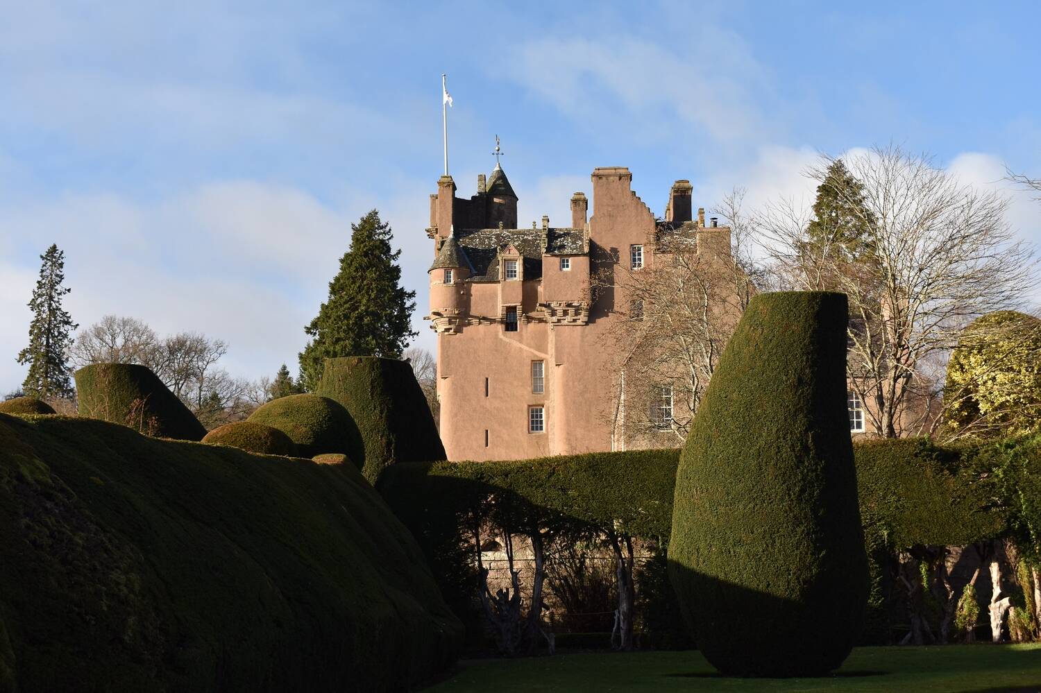 The pink walls of Crathes Castle rise behind the dark green yew hedges. In the foreground is a cylinder-shaped yew hedge. It is a bright winter's day with a pale blue sky.