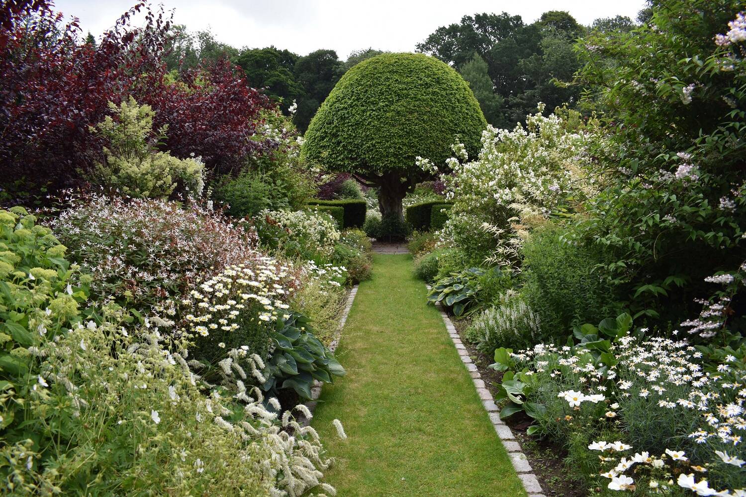 A grassy garden path leads between two richly filled flower borders towards a shaped tree. The borders are mostly filled with white flowers.