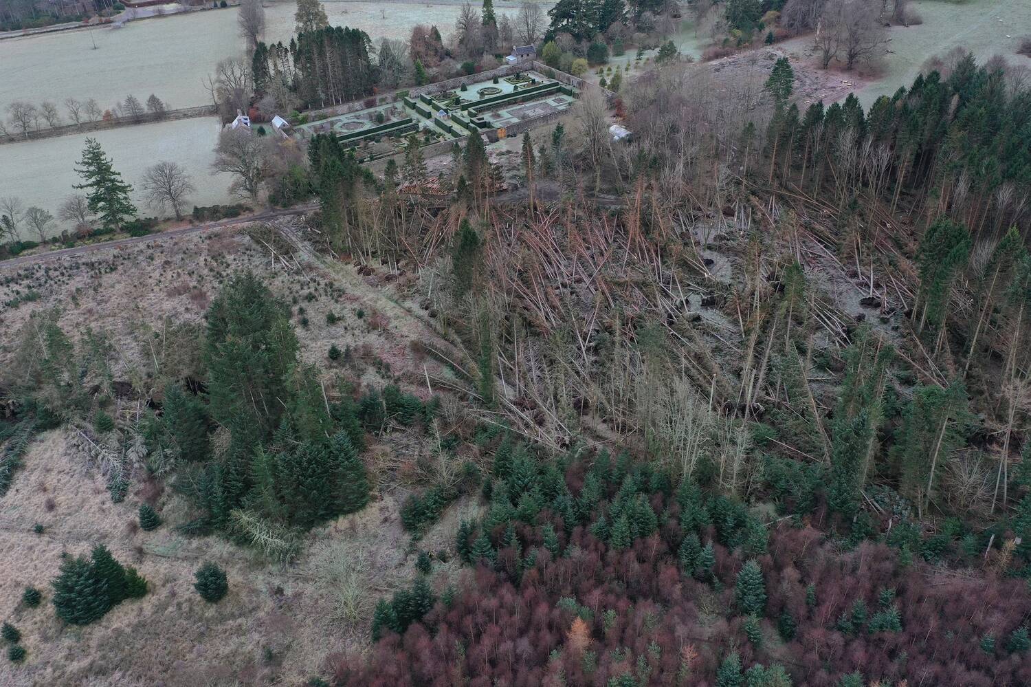 An aerial view of a large estate with an extensive area of flattened woodland in the foreground. Many trees are lying on the ground and resting on others. In the background a walled garden can just be made out.