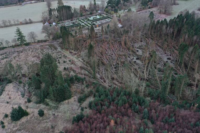 Aerial footage of fallen trees