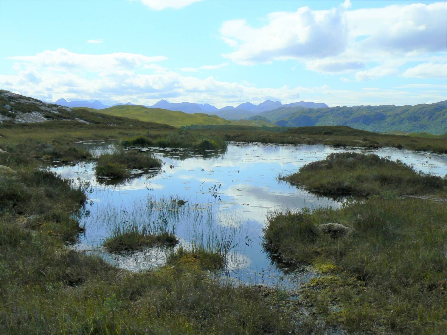 A peat bog landscape, with a large pool of water and mossy hummocks and reeds sticking out. Mountains can be seen in the distance.