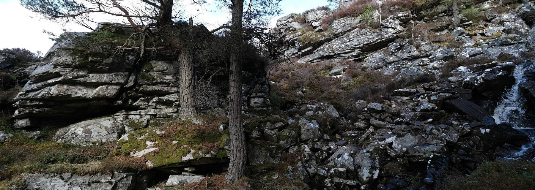 A whisky still at Creag Padraig, hidden amongst a rocky crag. Trees grow out of the rockface.
