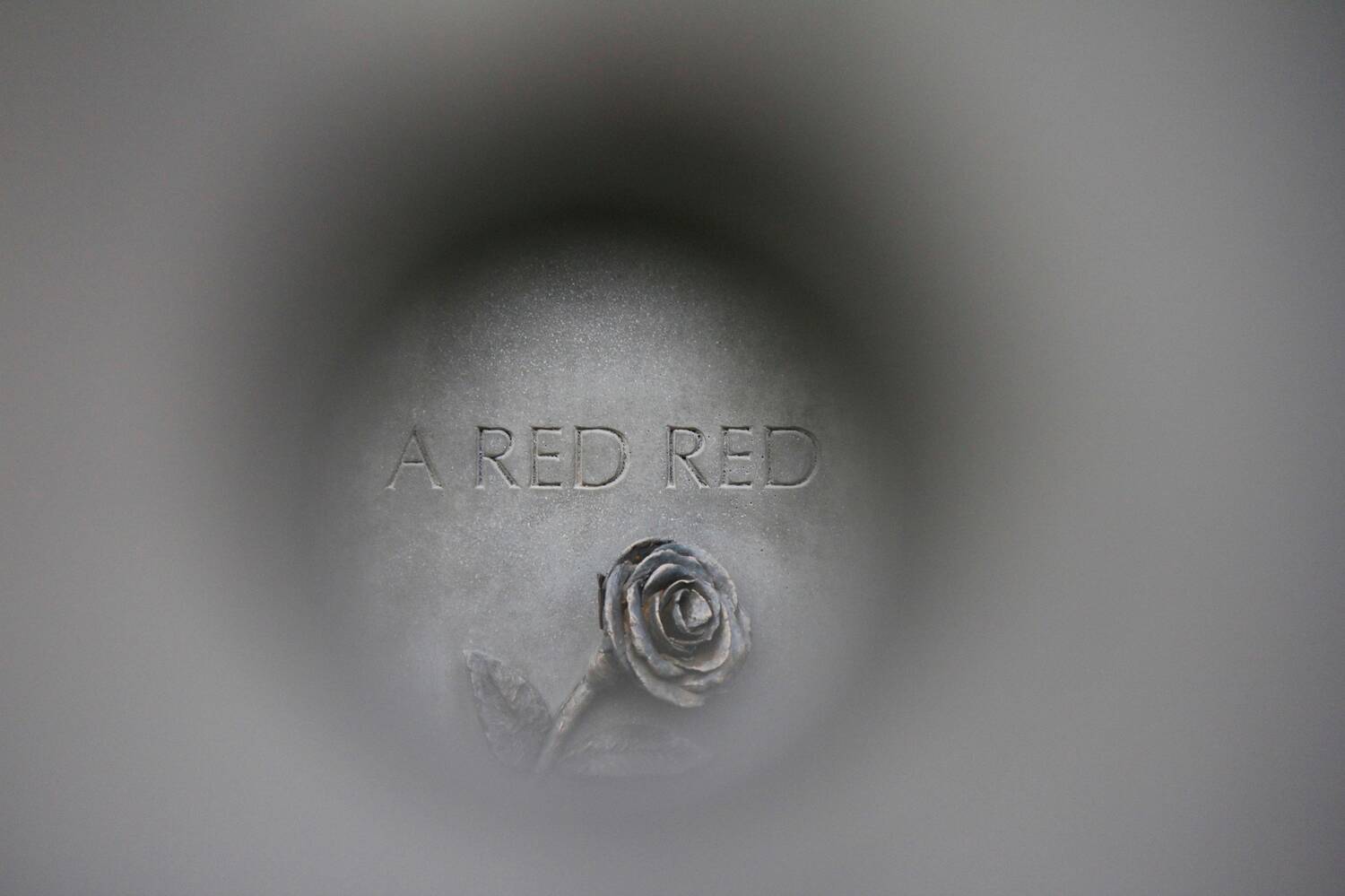 A stone carving of a rose, with the title of A red red above