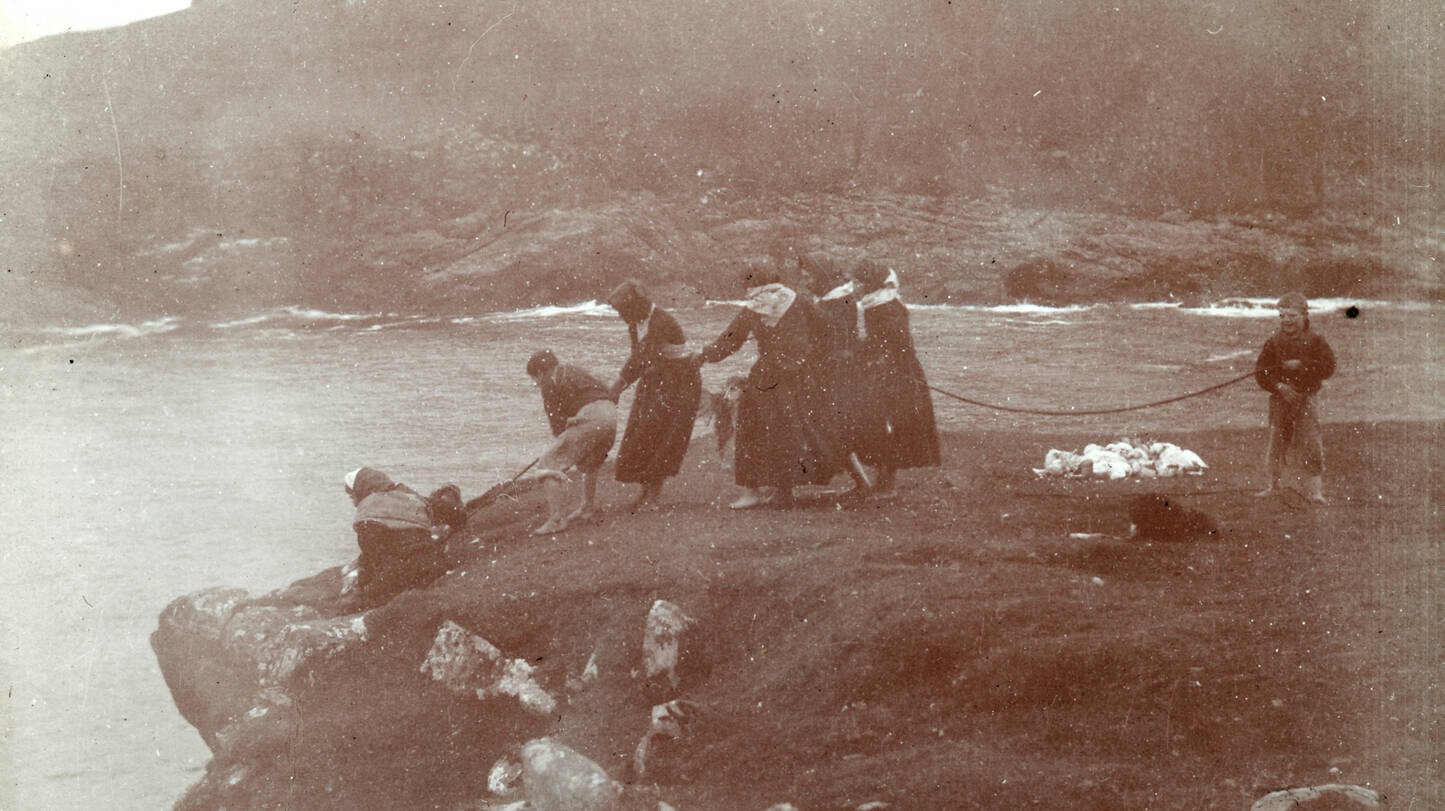 A black and white photo of fulmar hunt on St Kilda.