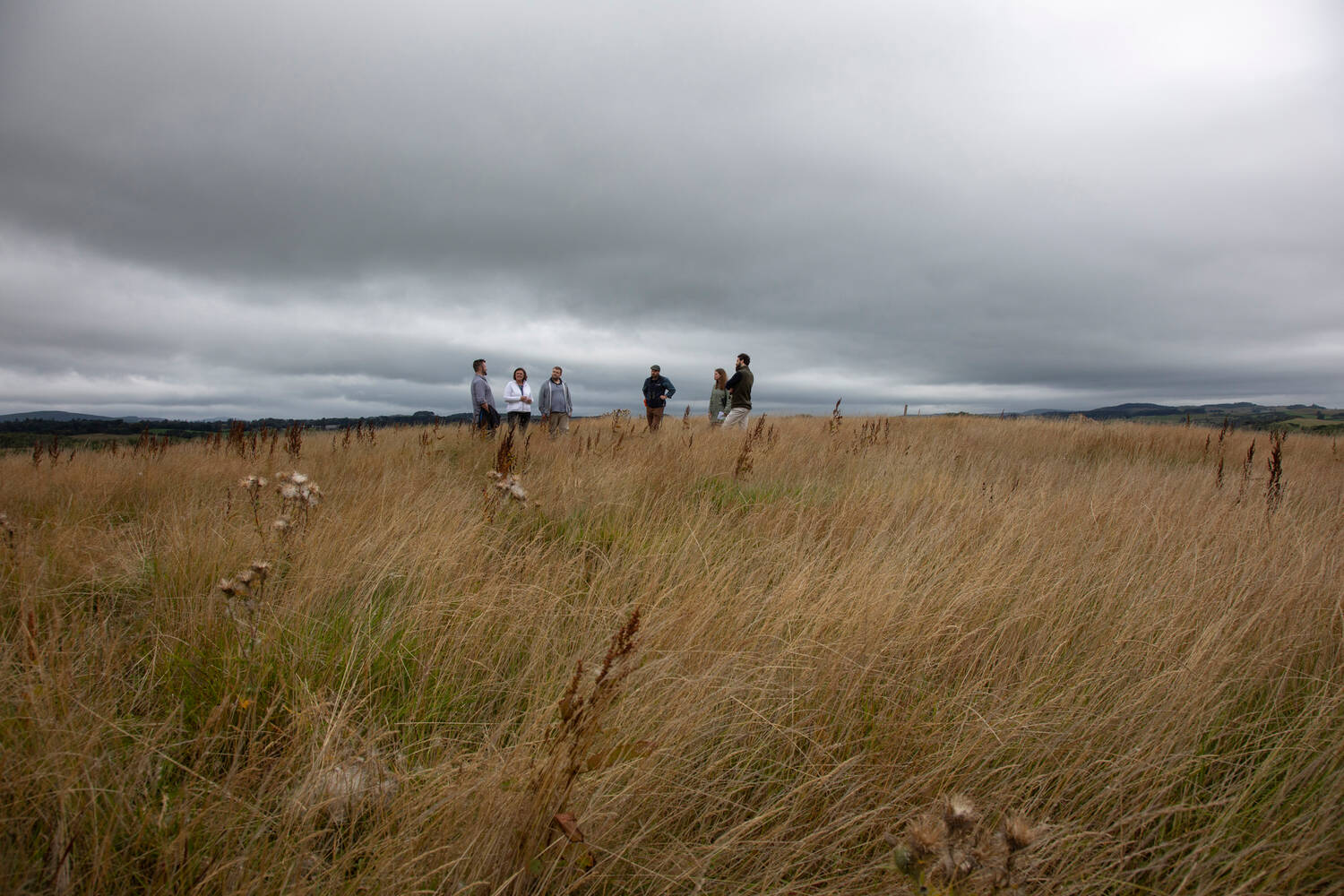 Group of people standing in long grass at the top of a hill. It's grey and overcast. 
