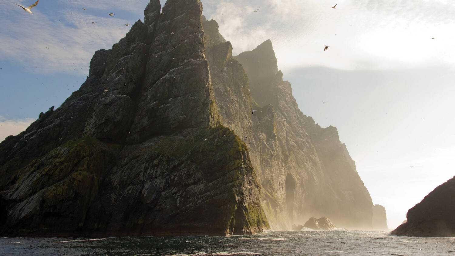 A huge cliff rises from the sea, with gannets swooping in the air.