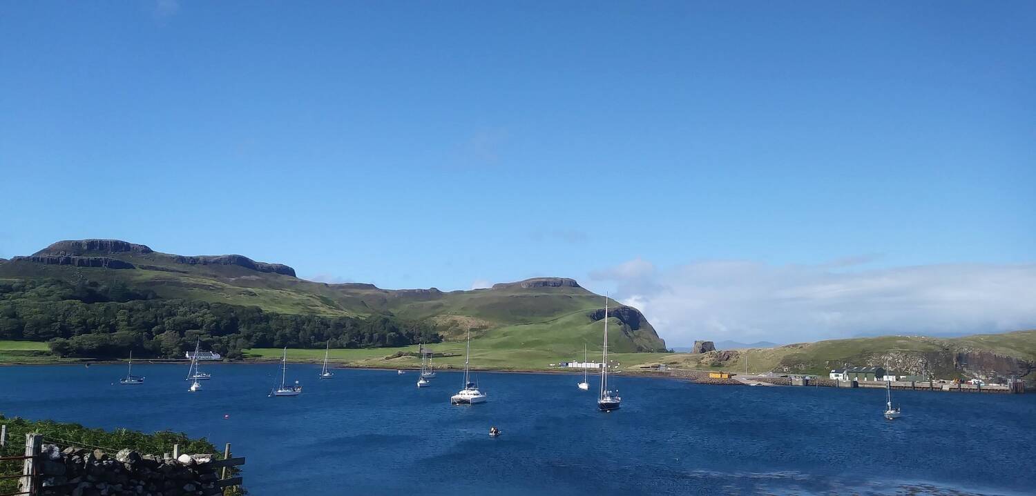 Several yachts in an island natural harbour on a sunny day.