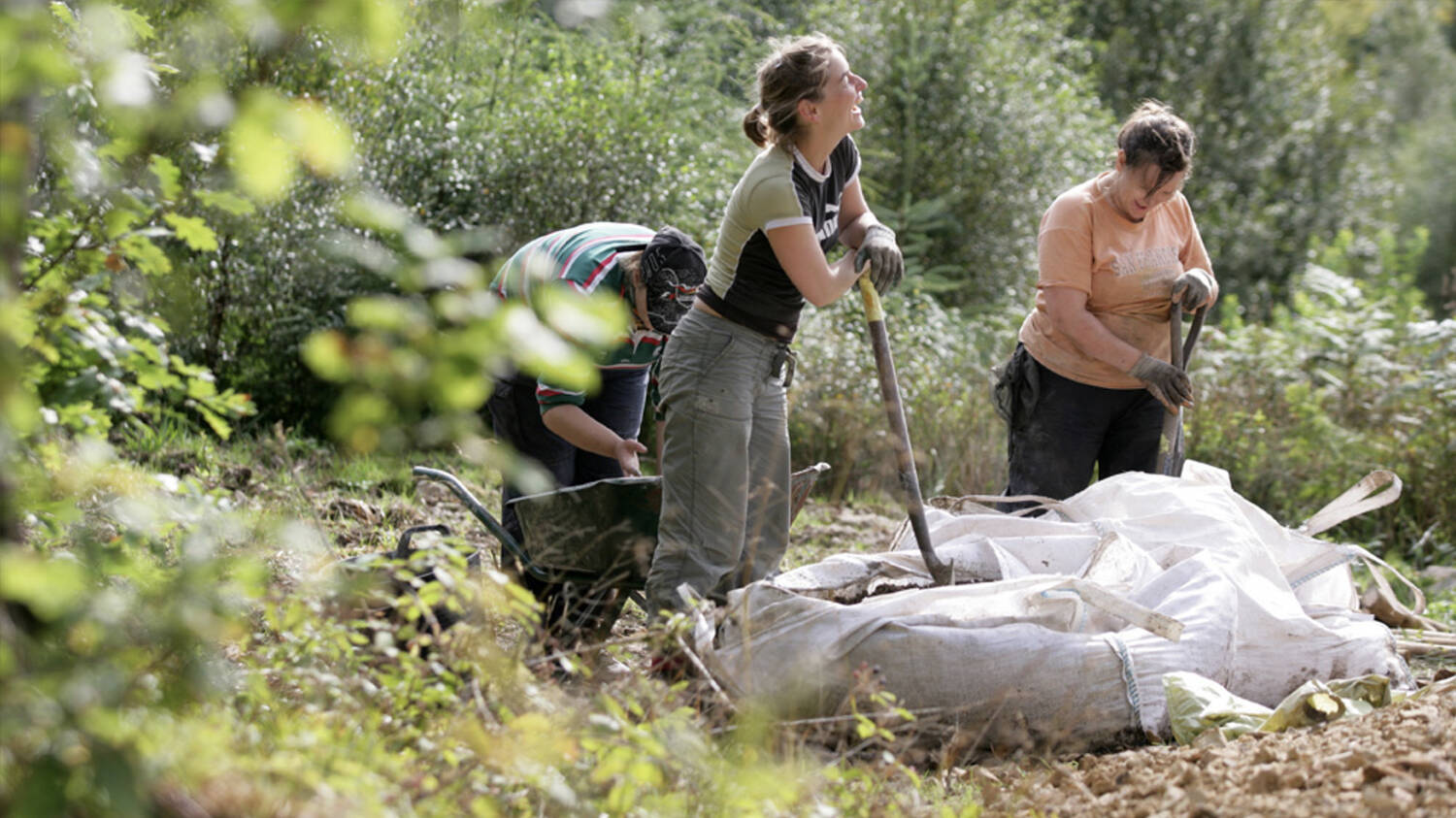 A group of people are working in a woodland, clearing material into large sacks. A lady leans against a rake in the foreground, taking a brief rest.