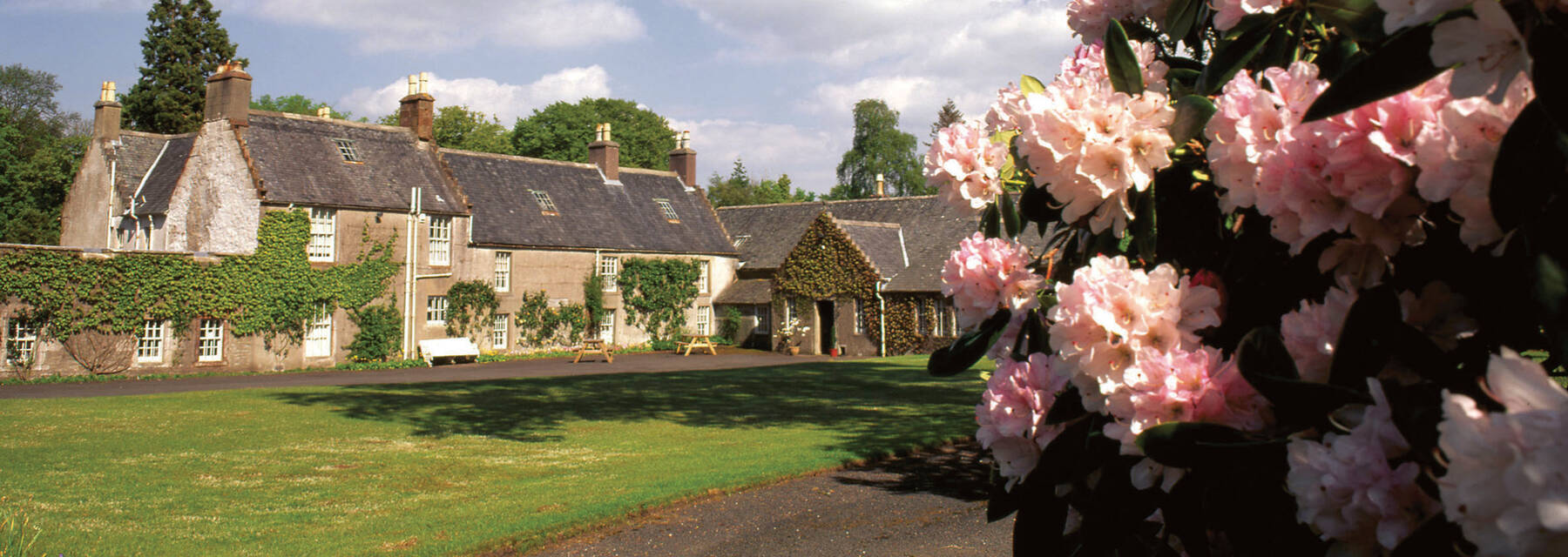 Geilston Garden house and rhododendron bush