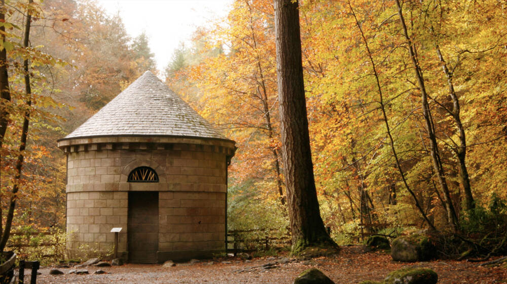 A round building with a cone roof stands under very tall trees in a woodland. The leaves are yellow and orange all around.