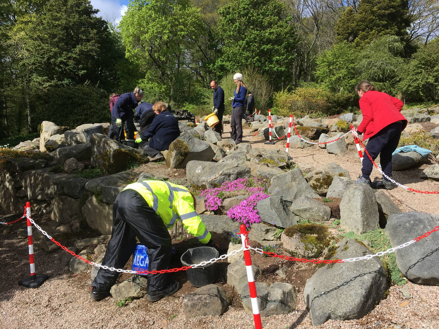 A group of people working in a rock garden