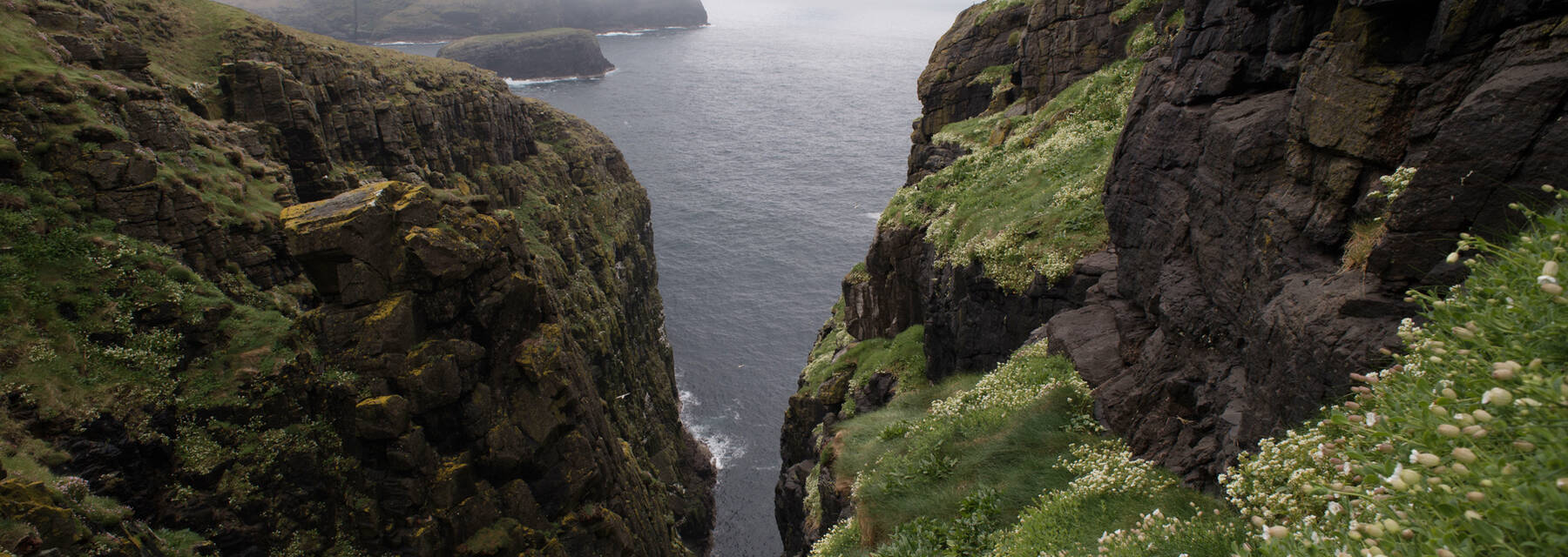 Mingulay cliffs plunging to the sea with low cloud