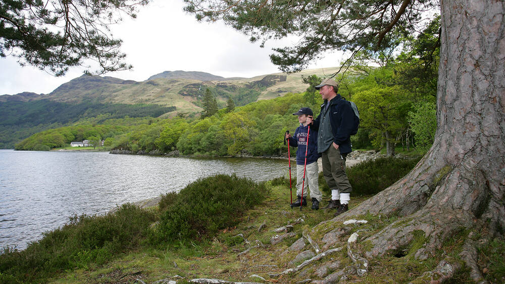 A man and a young boy stand beneath a large tree by the shore of Loch Lomond, looking out across the water. Both wear hiking boots and carry walking poles.