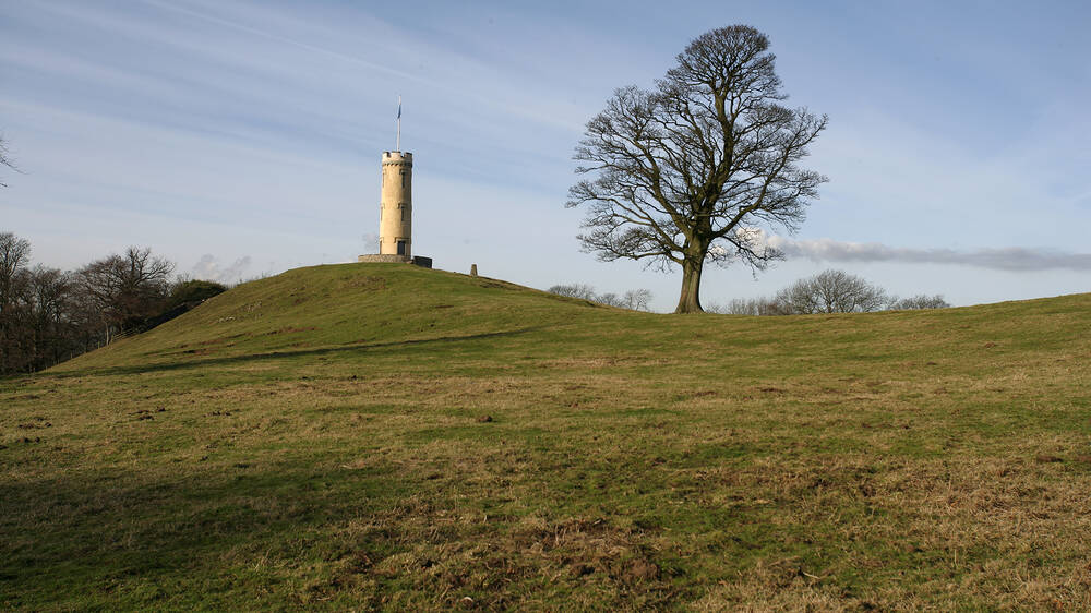 A round, tall tower stands at the top of a grassy hill. A very large tree grows a short distance away.