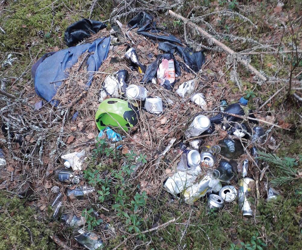 A pile of litter on the ground, including cans and plastic.