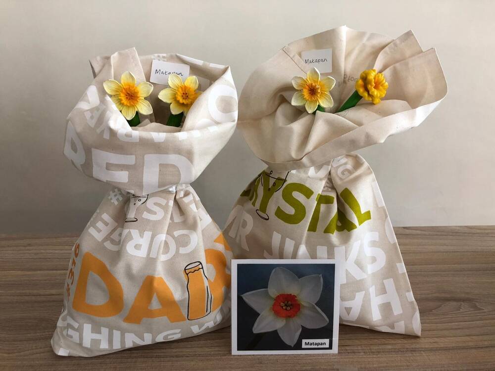 Two cloth bags, each labelled Matapan, are displayed on a shelf, with daffodils poking out from each. In front is a photograph of a daffodil, also labelled Matapan. It has white petals and an orange trumpet.