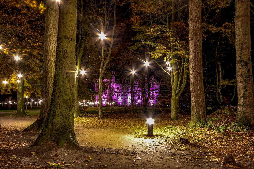 The walls of Brodie Castle are lit purple at night time, and can be seen through the lit trees in the surrounding woodland.