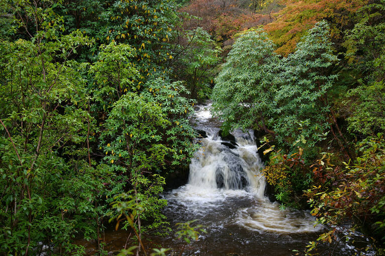 Small waterfall surrounded by trees in Crarae Garden