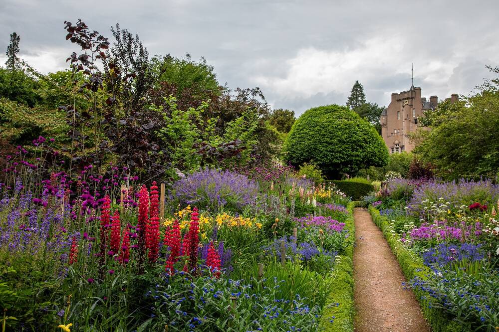 Very colourful flower beds line a gravel path in a walled garden. In the background stands Crathes Castle,