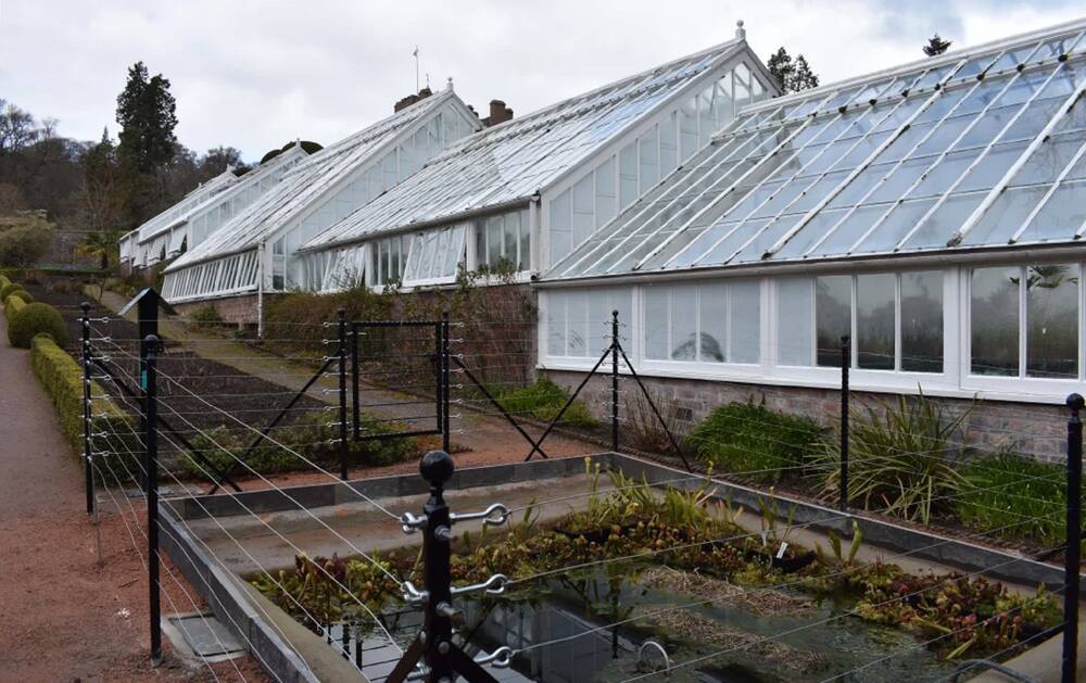A row of glasshouses in a garden. They are attached to each other but each house is a little lower than its neighbour on the left. In front of the glasshouses is a fenced-off pool and some flower beds.
