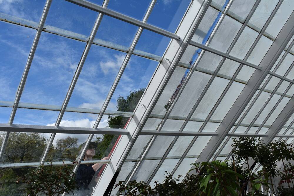 Looking out through a glasshouse's sloped roof on a sunny day. A young woman stands outside, adding white wash to the exterior glass panels.