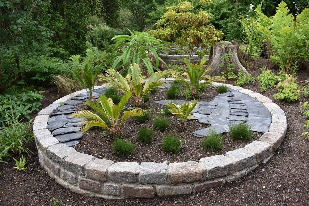 A new raised circular flower bed stands in a garden. In it are planted various palm-like plants, surrounded by slate tiles.