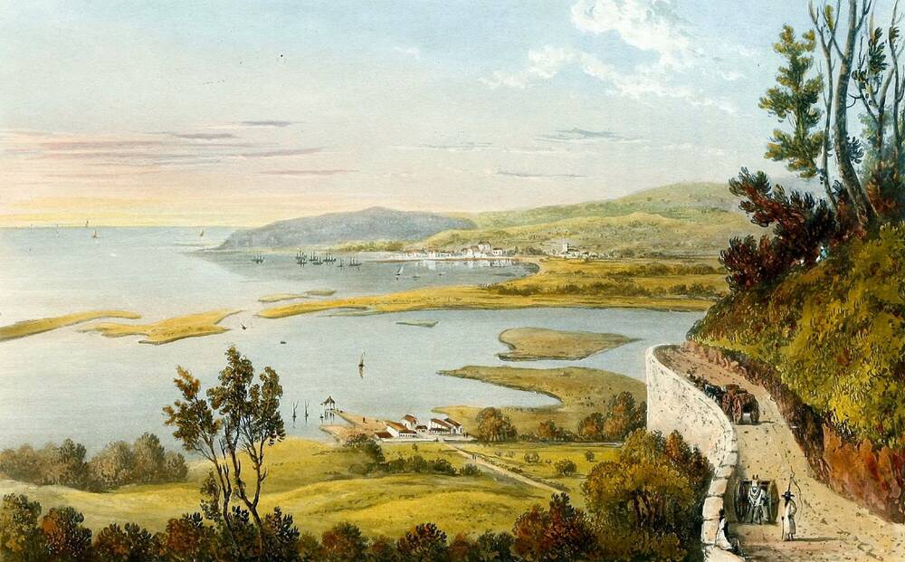 Painting showing Montego Bay, Jamaica, in the 19th century. An undulating, green landscape with some trees overlooks a wide bay.