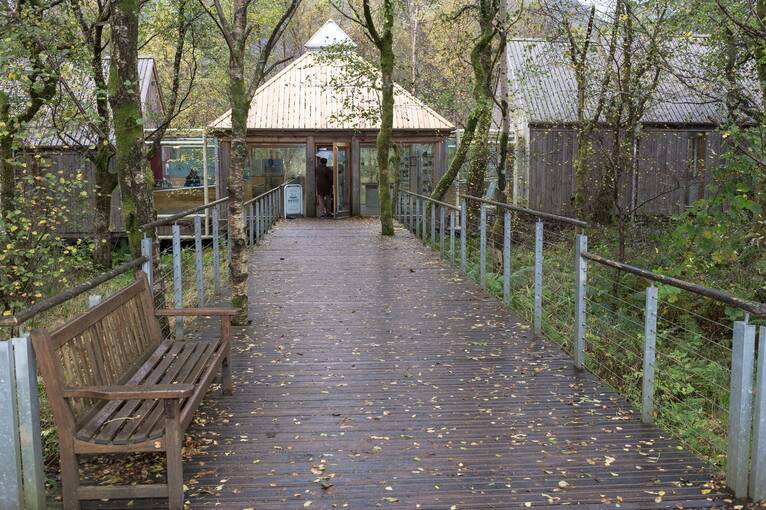 A raised boardwalk-path leads towards a visitor centre building with a conical roof. The buildings and paths are in woodland. Some trees even grow through the pathway.