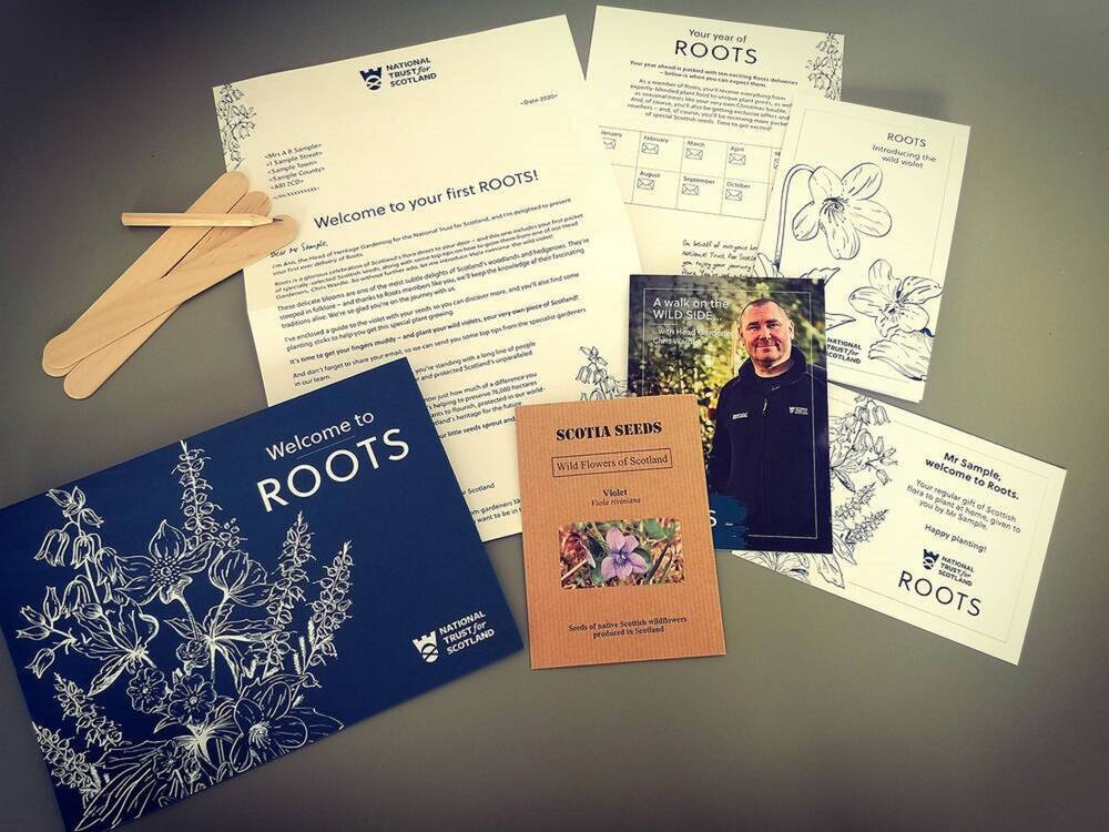 The contents of a National Trust for Scotland ROOTS pack are displayed against a grey background. Included are some gardening tips, a seed packet, some wooden plant markers and a newsletter.