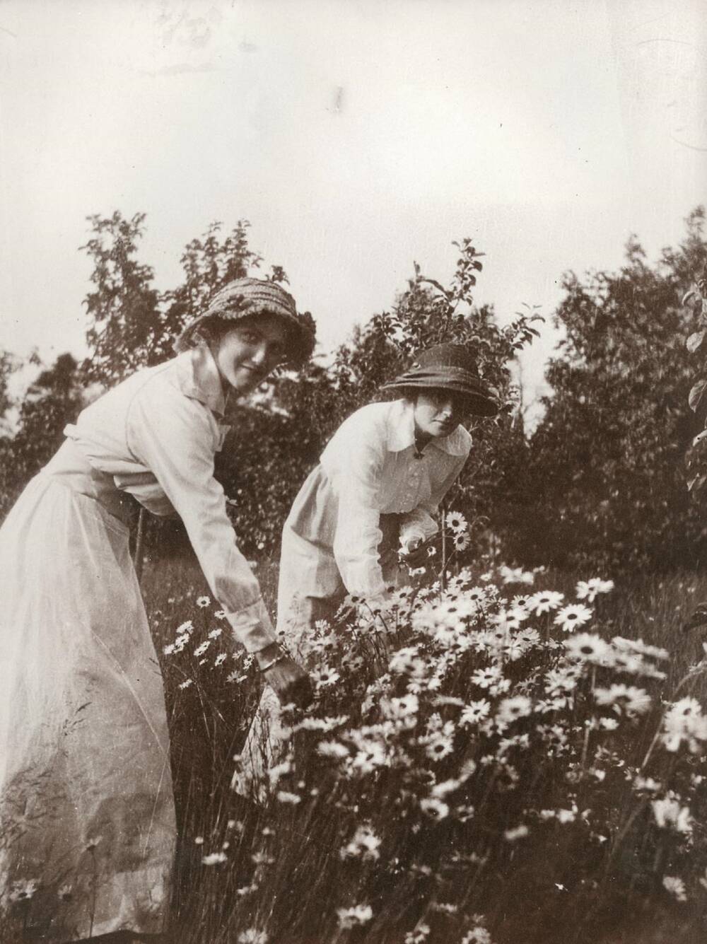 A black and white photo of two young Edwardian women, picking tall daisies in a garden with long grass. Both women wear long white dresses and darker hats with wide brims.