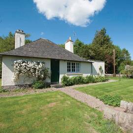 A small white cottage with a grey tiled roof is surrounded by a grassy lawn. Pretty rose bushes grow up the front walls of the cottage.