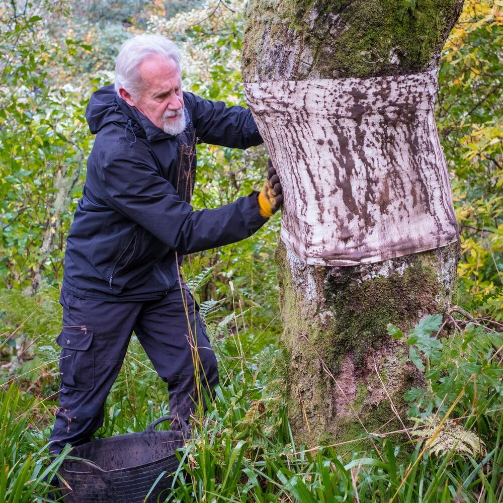 Mike Dodd making a tree rubbing