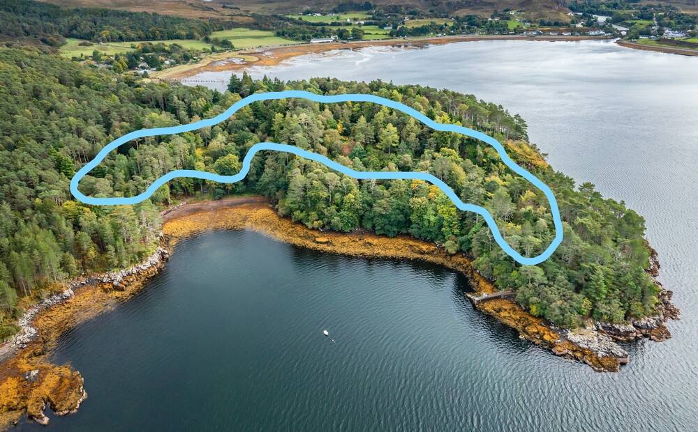 An aerial photograph of a woodland peninsula, jutting out into a sea loch. A blue banana-shaped area has been drawn over the woodland to highlight the area worst affected by storm damage.