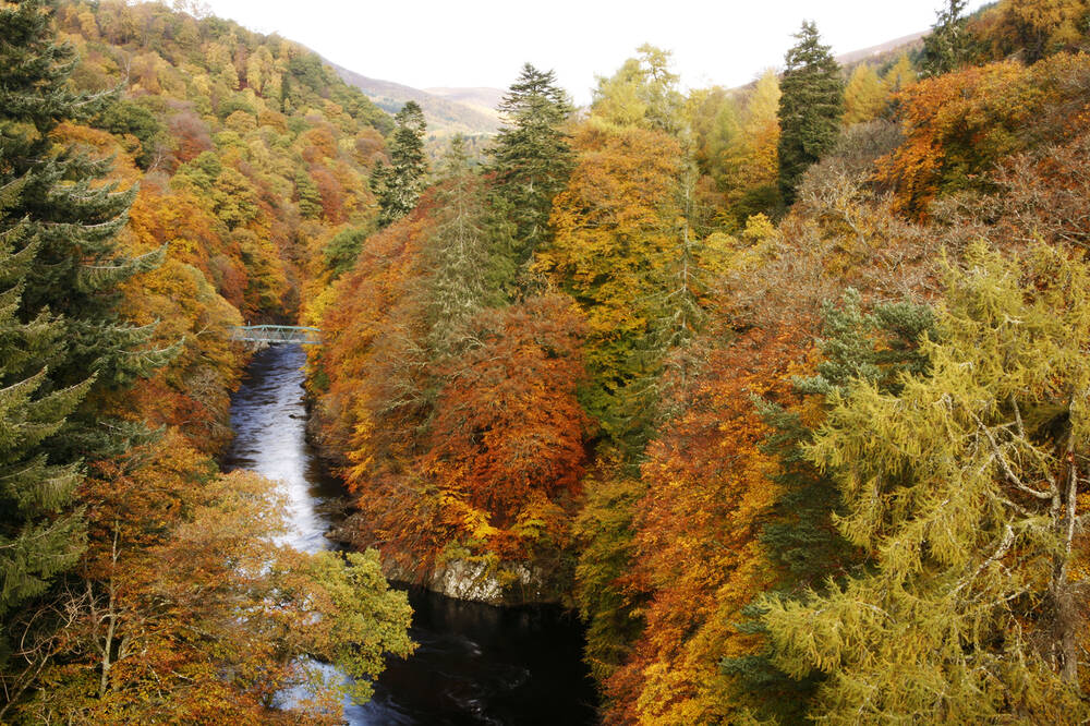 The magnificent wooded gorge at Killiecrankie in glorious autumn colours