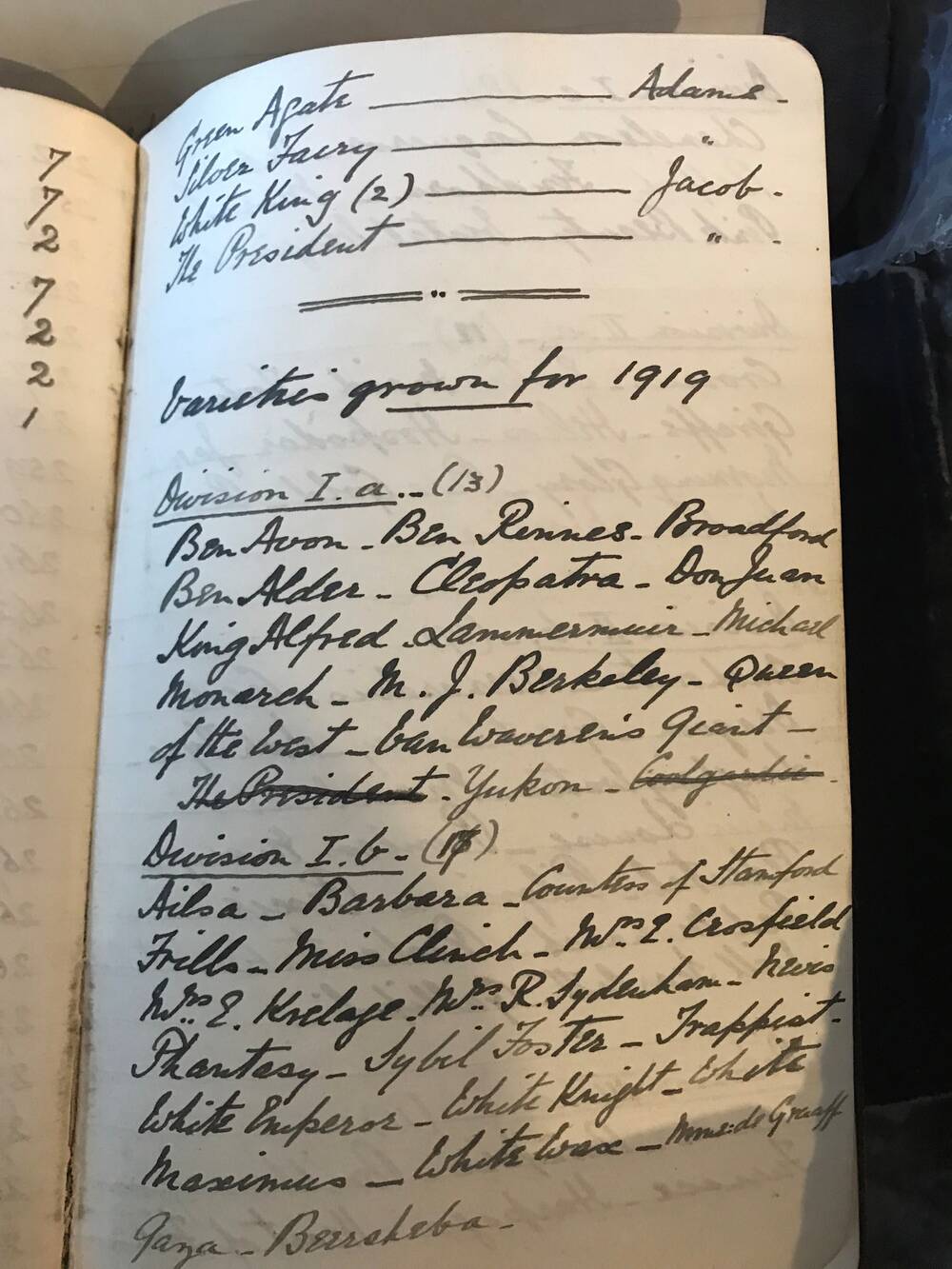 A page of a handwritten logbook describing various daffodils.