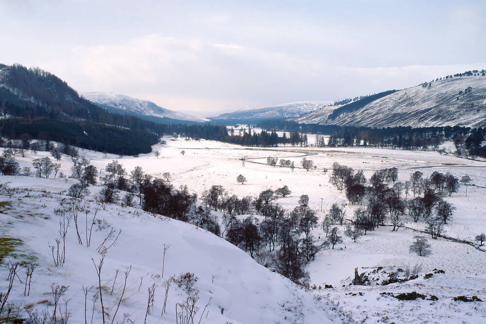 Mar Lodge Estate in winter. Snow covers the wide glen, with bare black trees standing in stark contrast. A river snakes its way through the centre of the image.