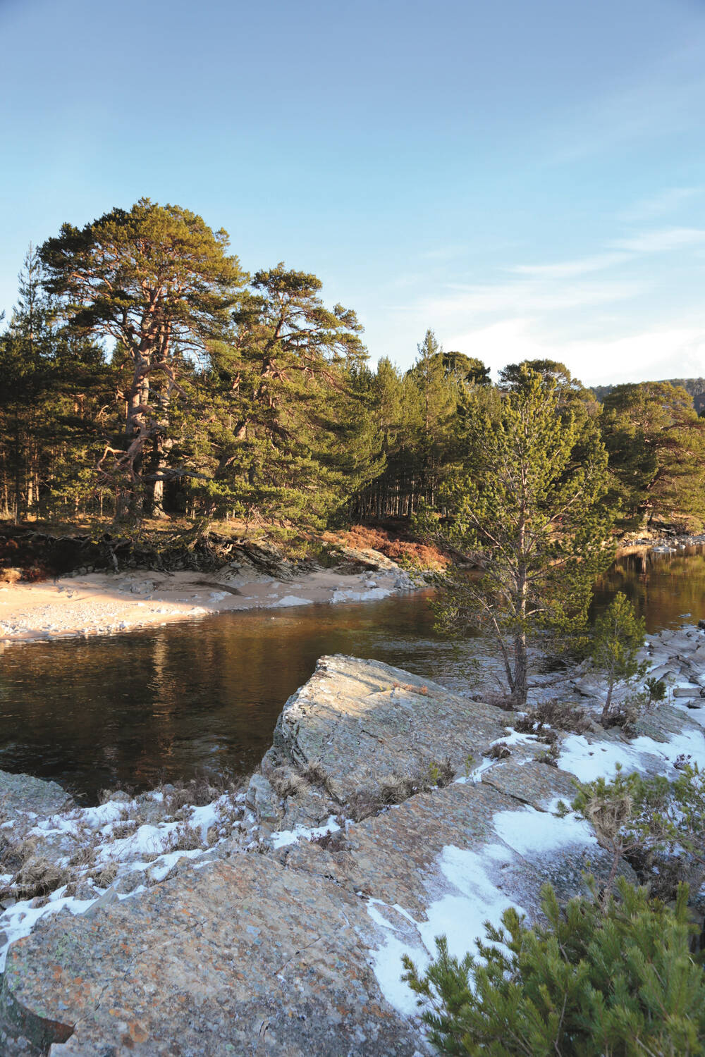 Pine trees grow either side of a wide river, that flows over a rocky drop.