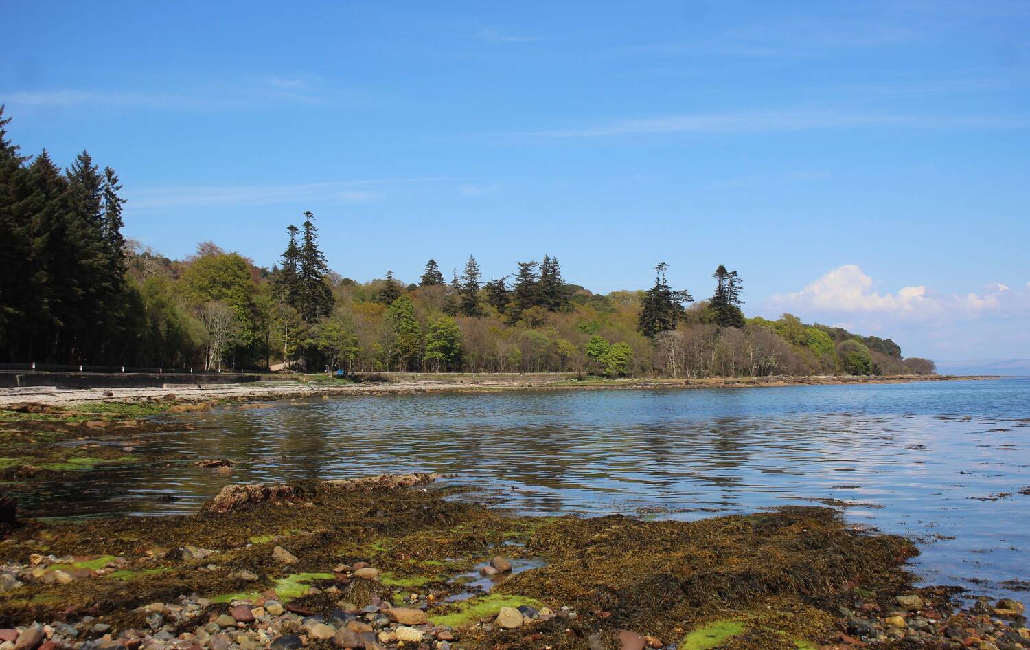 Rocky shorelines with trees in the background