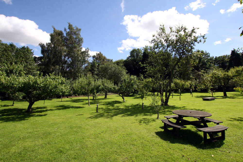 The orchard with wooden picnic benches in Priorwood Garden
