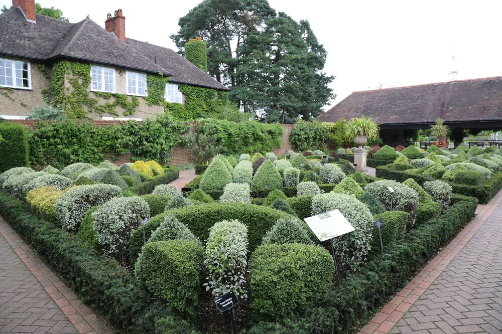 A trial bed in a garden, surrounded by paved paths. Inside the bed grow many different types of shrub and box-like plants.