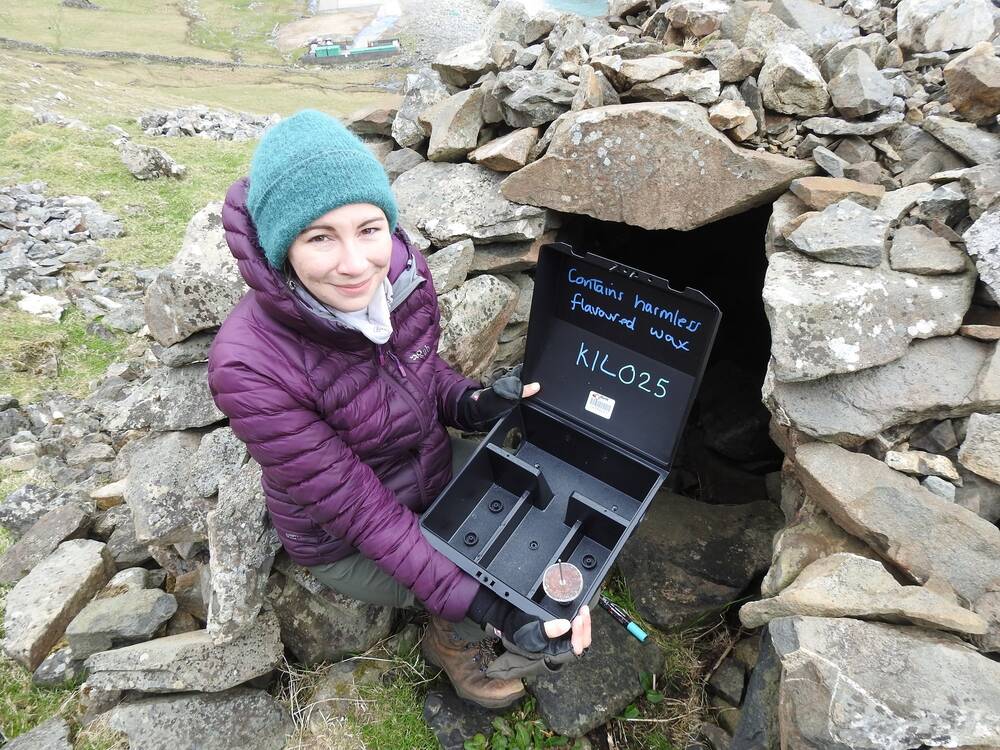 A young woman wearing a padded purple coat sits beside a small stone structure on a windy hillside. She holds open a plastic bait station, which contains a numbered reference, a bait disc and a note advising 'Contains harmless flavoured wax'.