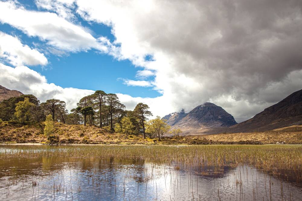 A view of the side of a loch with numerous reeds protruding from the water. Trees and bracken cover the banks on the foreshore. A large rounded mountain looms in the background, white clouds hugging its top.