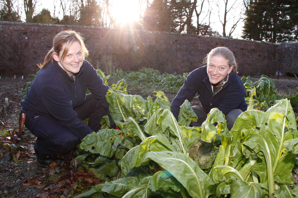 Two young women kneel in a vegetable patch at work. They are looking up and smiling at the camera.
