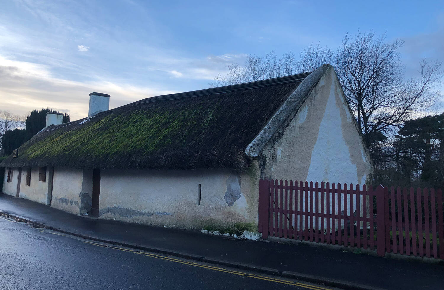 A view of the front gable end of Burns Cottage, which shows a lot of moss growing on the thatched roof and bad orange staining on the white stone walls.
