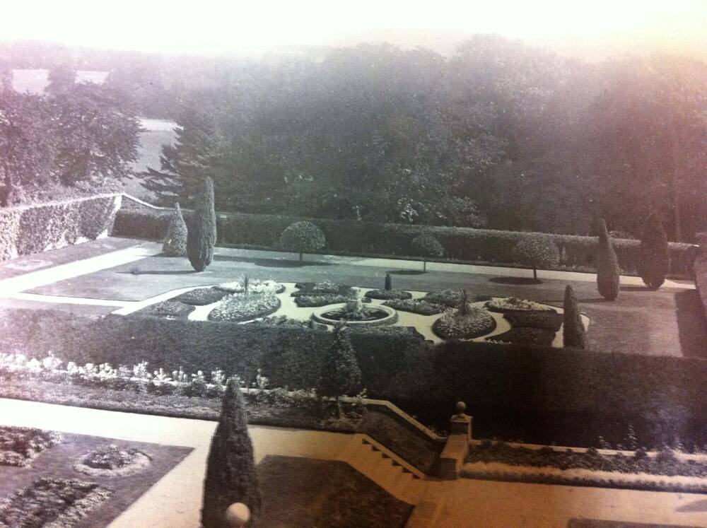 Old photograph showing a formal garden surrounded by paths and with several tall conifers.