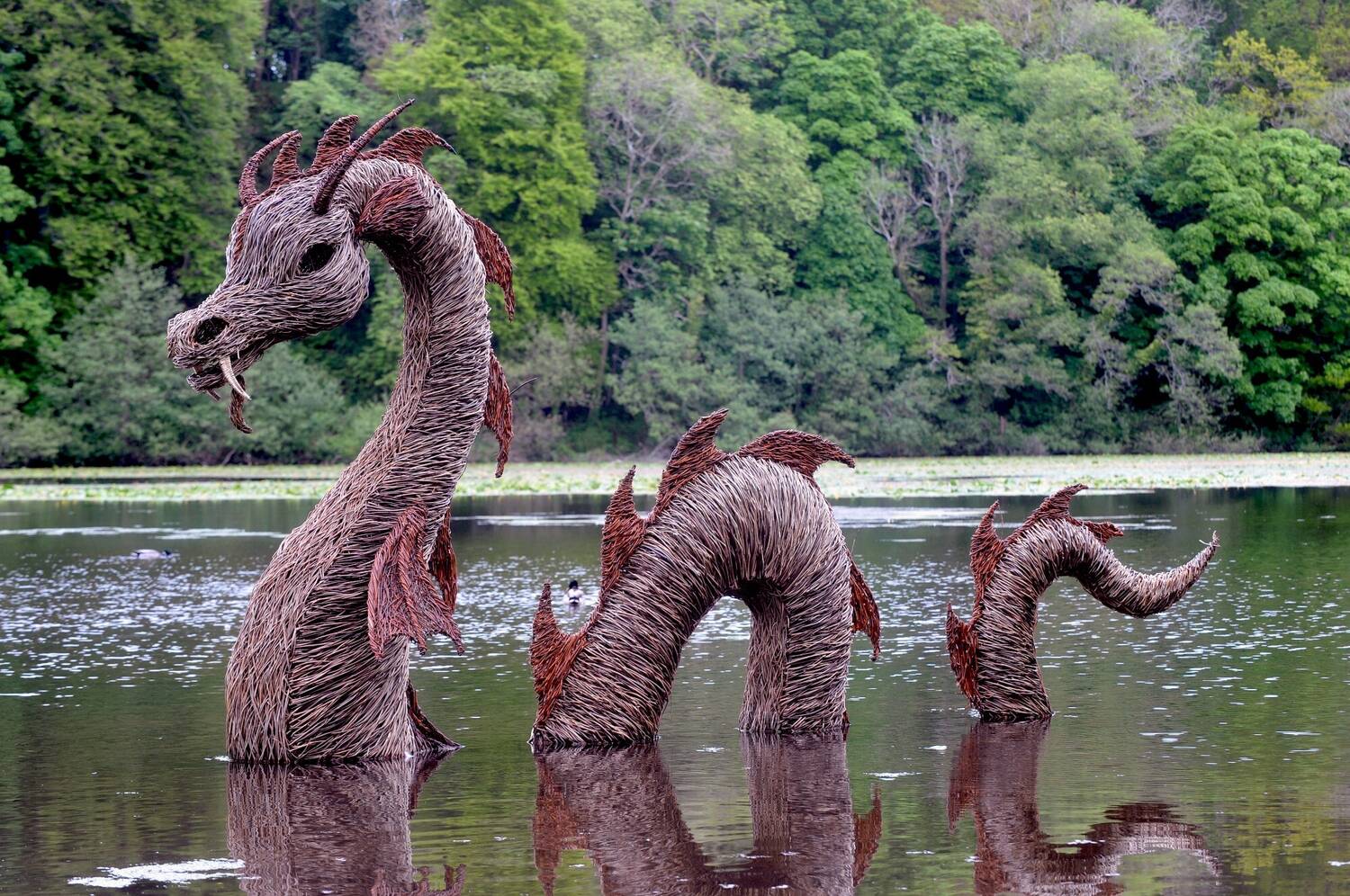 A willow sculpture that looks like the Loch Ness monster is in a large pond, half in, half out of the water.