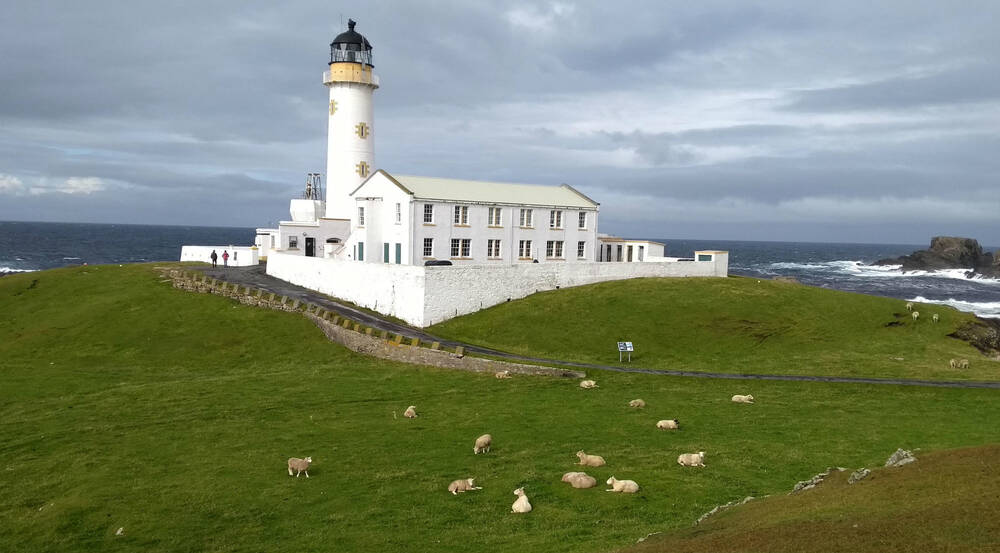 White lighthouse with another building enclosed by a wall with sheep in a field nearby