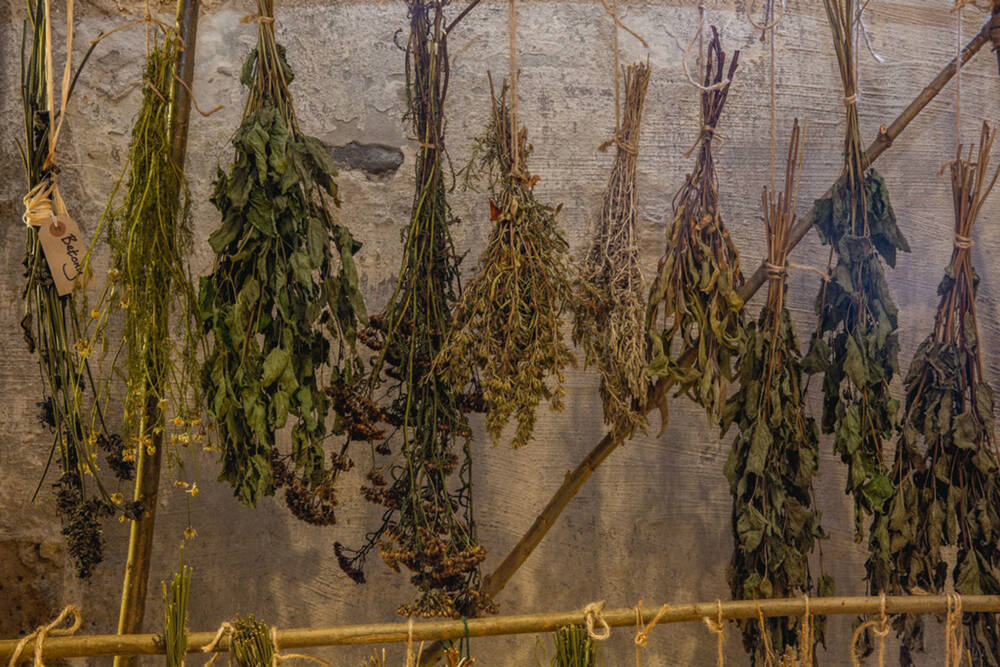Herbs and flowers used in the apothecary grown at Falkland Palace